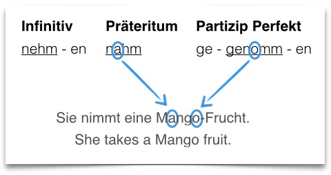 learn German grammar irregular verbs